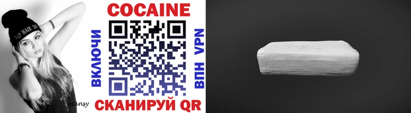 Купить закладки  Саянск  Cocaine FishScale 