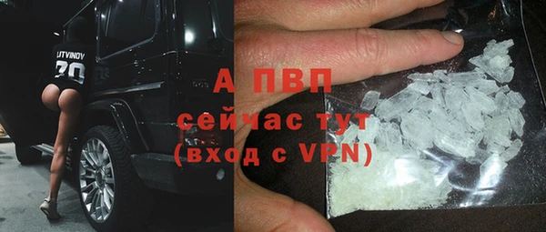 гашик Бородино