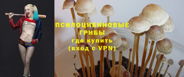 гашик Бородино