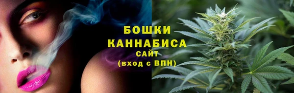 гашик Бородино