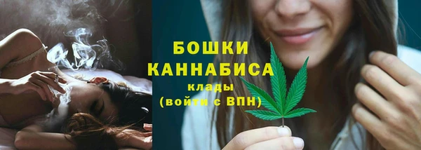 гашик Бородино