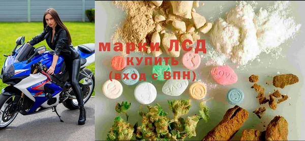 гашик Бородино