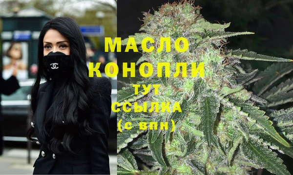 гашик Бородино