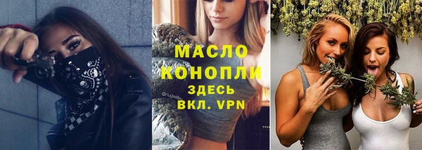 гашик Бородино