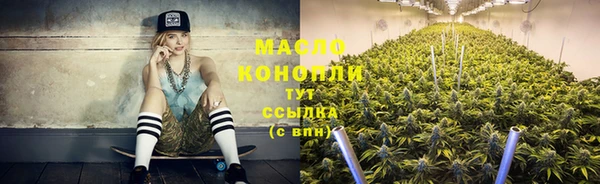 гашик Бородино