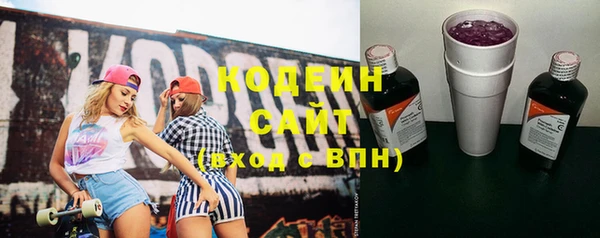 гашик Бородино